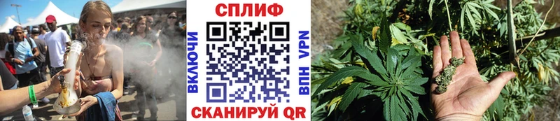 Бошки марихуана MAZAR  цена   Приозерск 